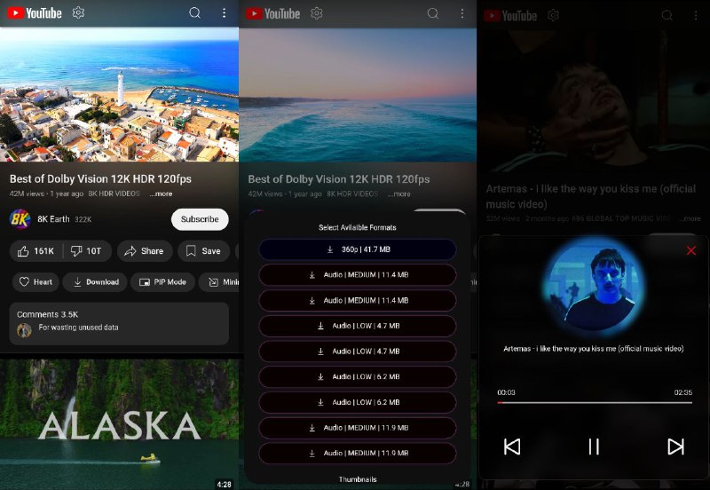#软件 #开源 #第三方🖥 YT PRO - 轻量级第三方 YouTube 客户端▎软件平台