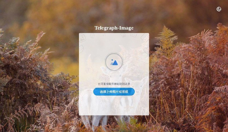 #网站 #图床🖼 Telegraph Image - 一个基于 Telegraph 的免费图床▎网站功能