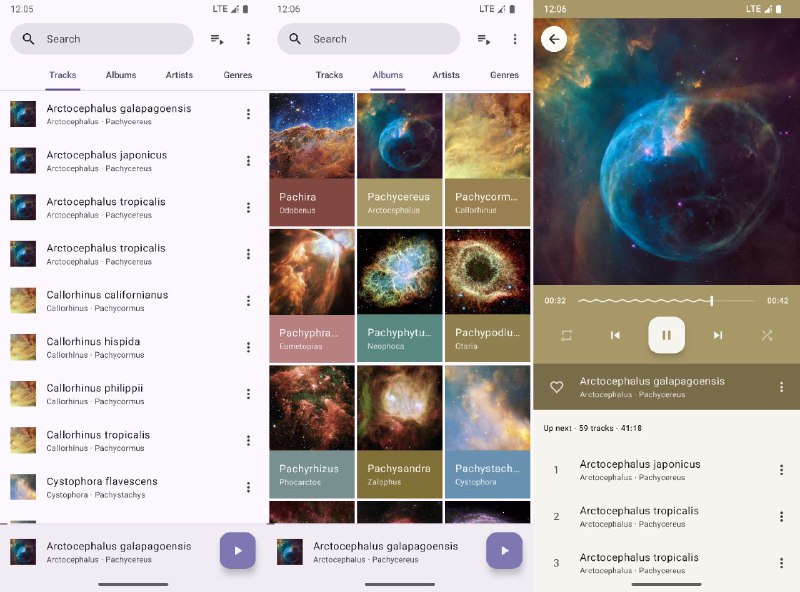 #软件 #音乐 #开源 #播放器🎶 Phocid - 开源 Android 本地音乐播放器▎软件平台
