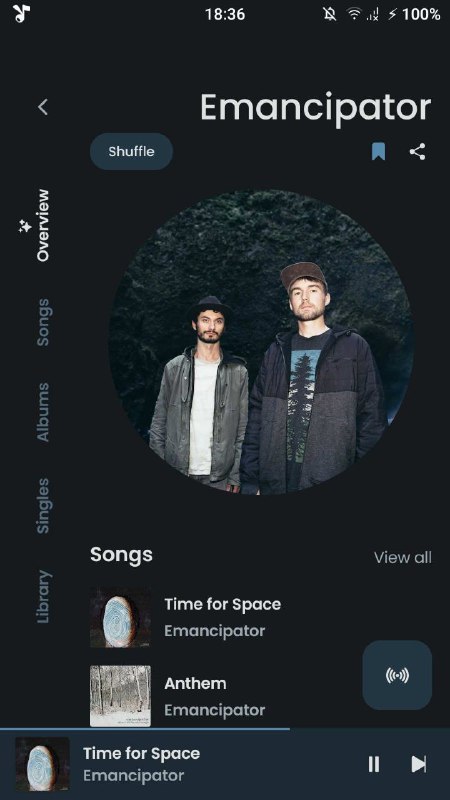 「Vi Music」一个代替YouTube Music的轻量级应用特点