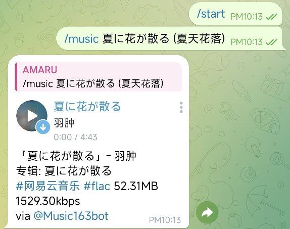 #Bot #Telegram #音乐 #开源🎶 Music163bot - 一个用来下载/分享/搜索网易云歌曲的telegram bot▎机器人功能