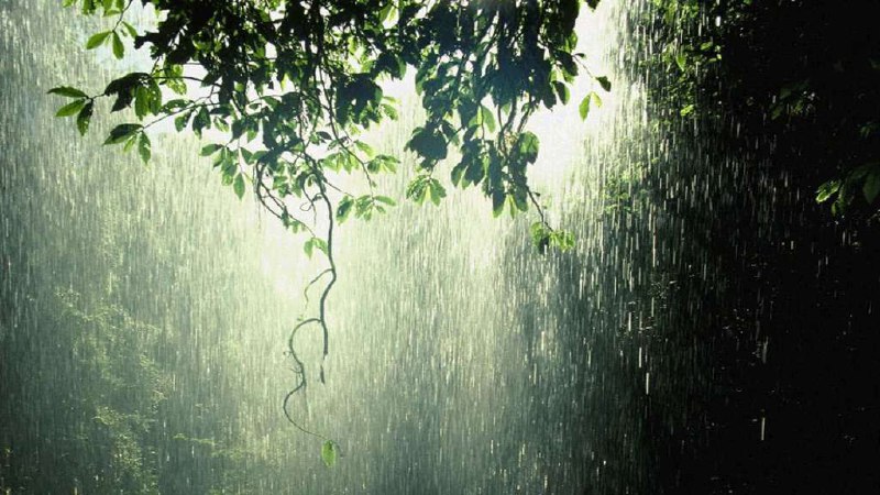 #网站 #趣站 #白噪音 #合集🌨 精选白噪音网站累了吗，休息一下吧😴🪴 Rainyscope
